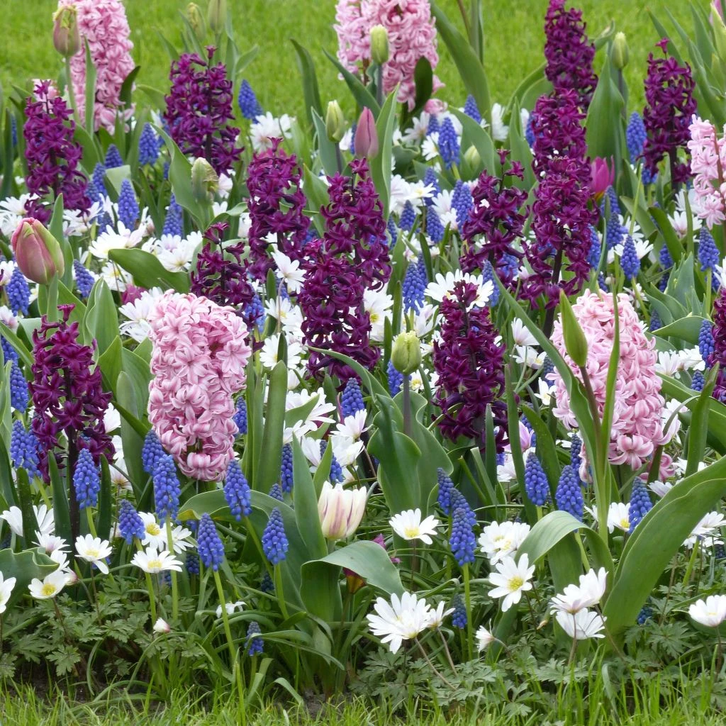 Collection Balade Parfumée 1 Collection Balade Parfumée